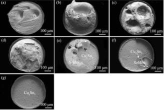 不同溫度下Cu/SAC305/Cu焊點的斷裂表面